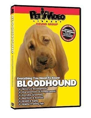 NEAPOLITAN MASTIFF ~ Puppy ~ Dog Care & Training DVD