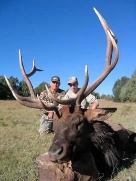 Big Elk Hunting in beautiful Northeastern New Mexico. $500 Is for 