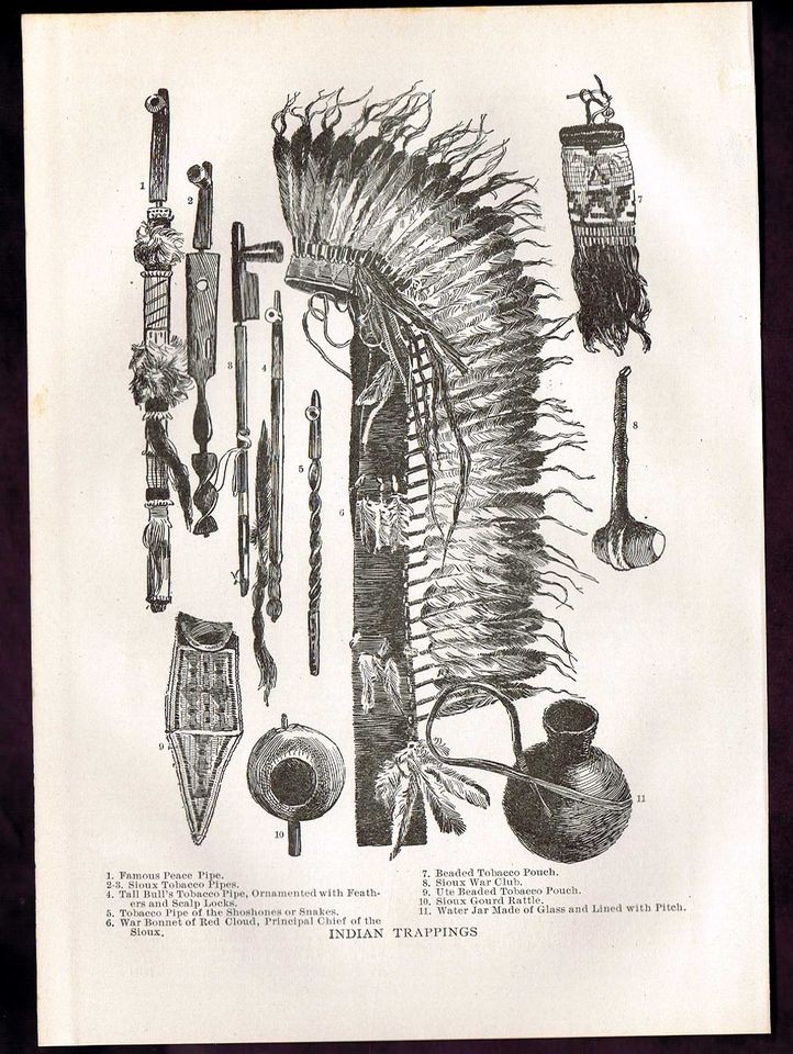   Tail Iron Wing Chiefs In​dian Peace Pipe War Bonnet 1906 Print