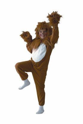 ECONOMY Lion Costume for Child Size Small (4 6)