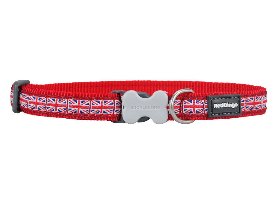 red dingo union jack dog collar available in small medium