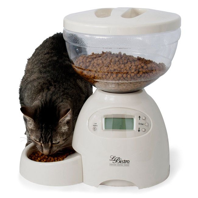   Portion Control Automatic Pet Dog Cat Feeder Linen Holds 5 Lbs