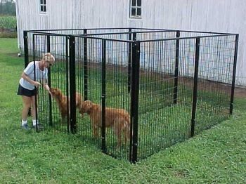 Outdoor Dog Kennels Fencing Cages Heavy Duty 2 Runs