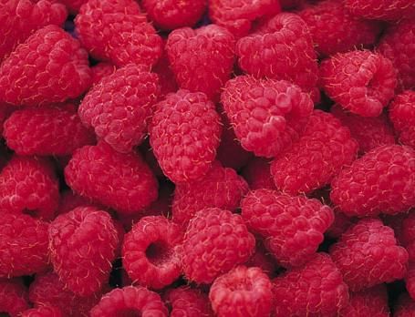 Can Freeze Dried Raspberries Dehydrated Survival Food