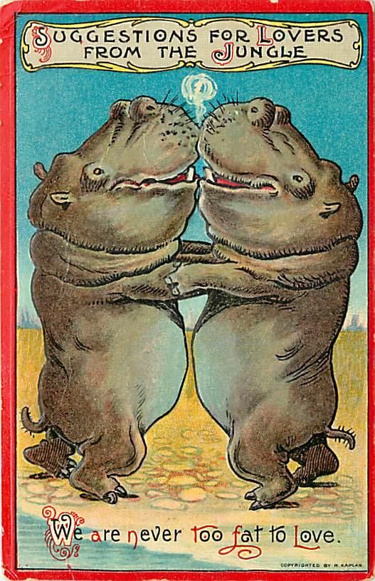 Suggestions for Lovers from The Jungle Never Too Fat to Love Hippos