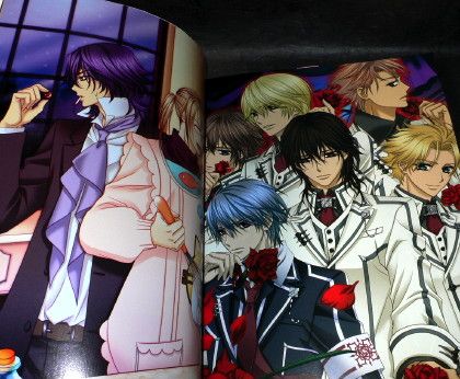 Vampire Knight DS Complete Japan Anime Manga Guide and Art Book New