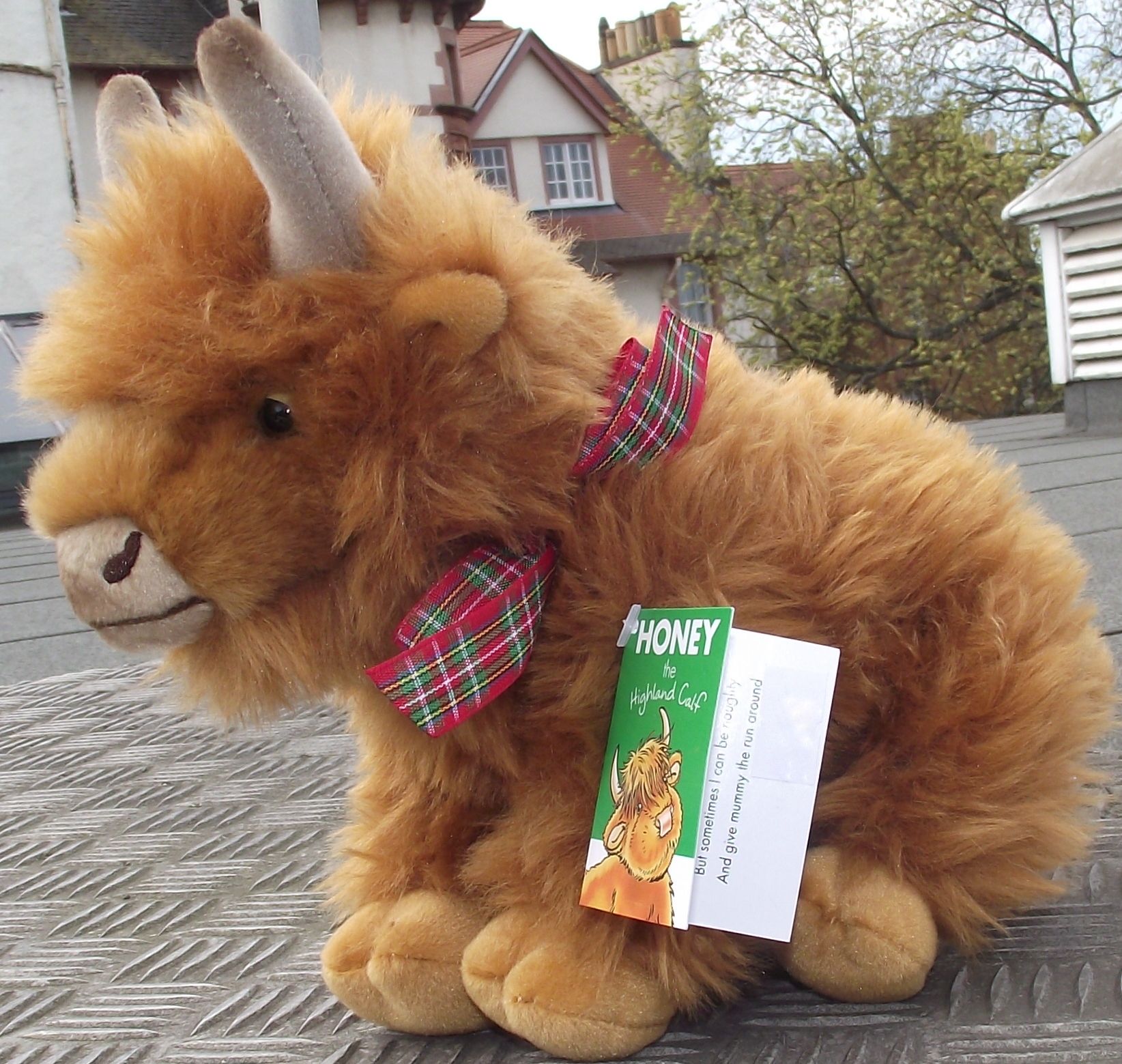 GLs Teddie Bear Stuffed Animals Selections Scottish Themed  