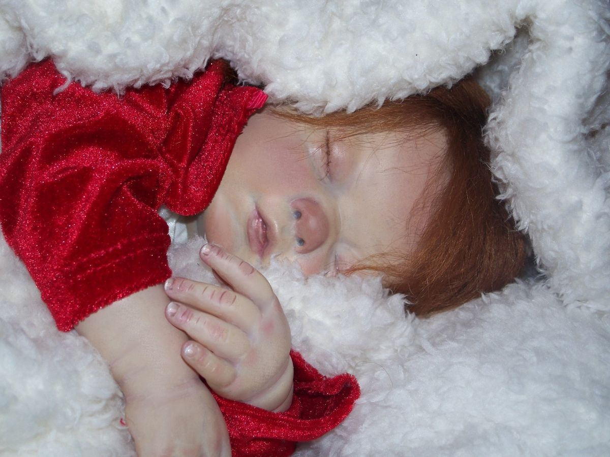 Reborn Doll Sophie Sleeping Baby Girl with Accessories