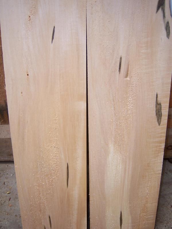 Ad Pair Spalted Basswood Carving Wood Blocks 3x6 Blanks