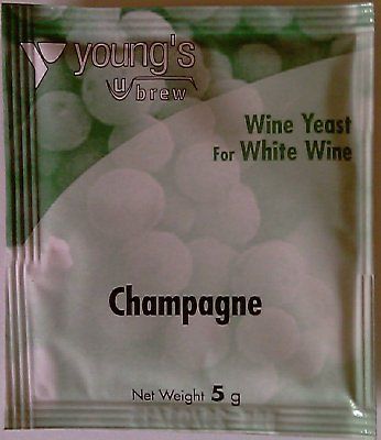 Youngs champagne yeast   ideal for sparkling wines